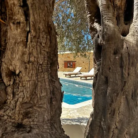 Aparthotel Stone Court Boutique *